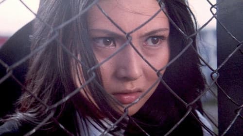 Stray Cat Rock: Sex Hunter Bild 1