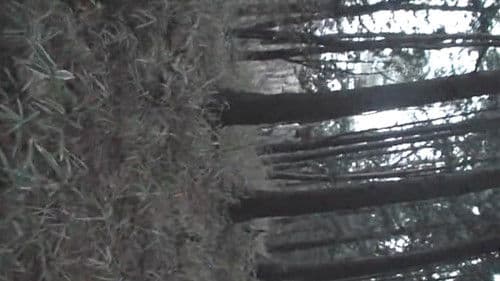 呪いのご当地都市伝説～北海道・東北編～ Bild 1