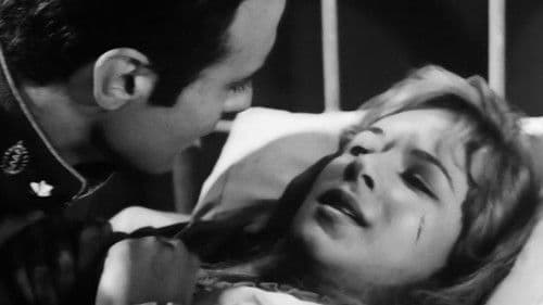 Ο Μιμίκος Και Η Μαίρη Bild 2