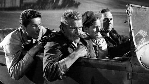 Sie leben bei Nacht Bild 8