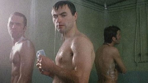 Team Spirit II Bild 1