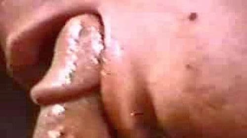 Young Yankees Bild 2