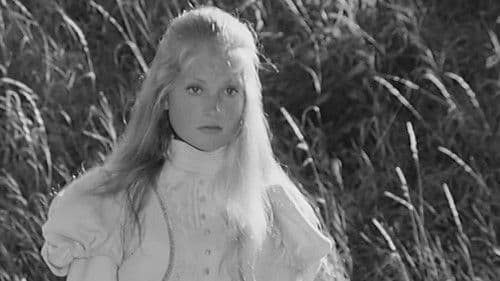 Les Cent Livres des Hommes Bild 1