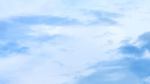 Rosie's Rescue Bild 1