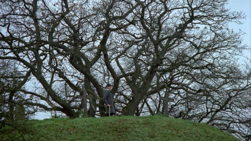 Das neue Land Bild 4