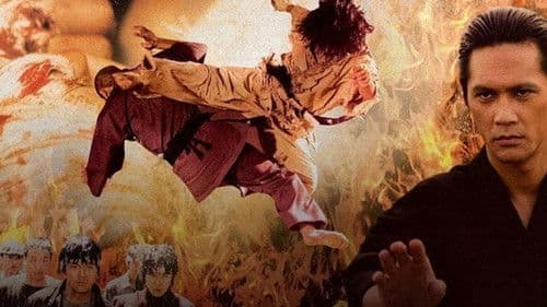 Fighter In The Wind Bild 4