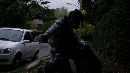 Fiebre Amarilla Bild 2