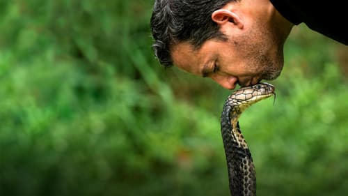 David Blaine Do Not Attempt Bild 3