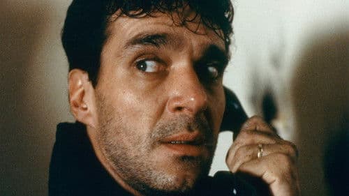 Paranormal Visitors Bild 2