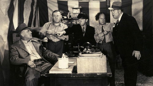 Three Little Twirps Bild 2