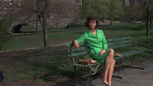 New York Express Bild 4