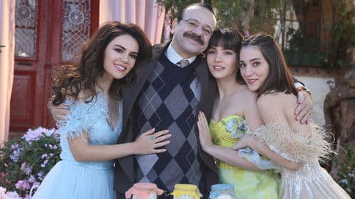 Üç Kız Kardeş Bild 2