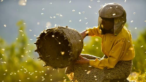 Land des Honigs Bild 3