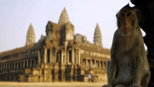 Planet 4K - Unsere Erde in Ultra HD Bild 2