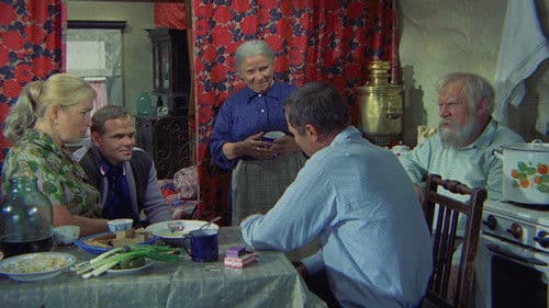 Kalina Krassnaja – Roter Holunder Bild 3