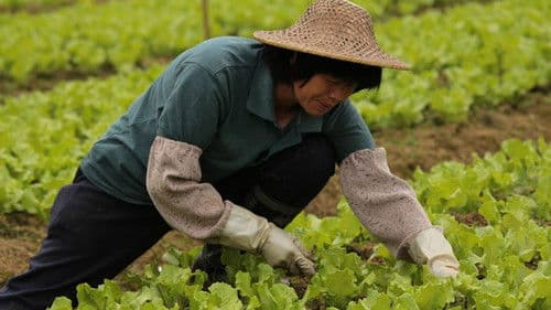 收割，開路！ Bild 1