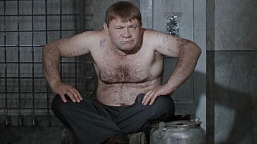 Gentlemen der Erfolge Bild 5