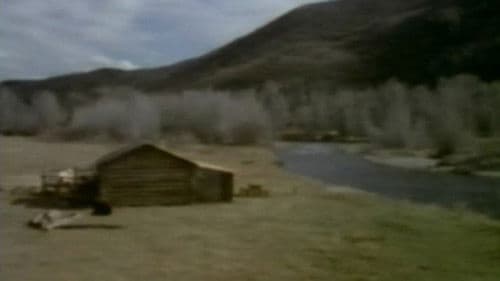 In Search of a Golden Sky Bild 1