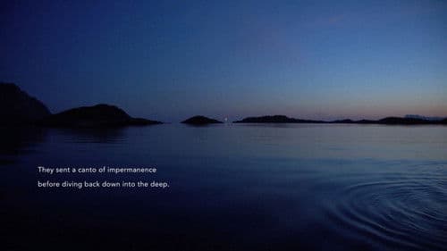 Acoustic Ocean Bild 1