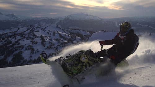 509 Films: Volume 10 Bild 1