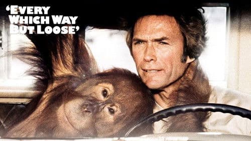 Der Mann aus San Fernando Bild 2