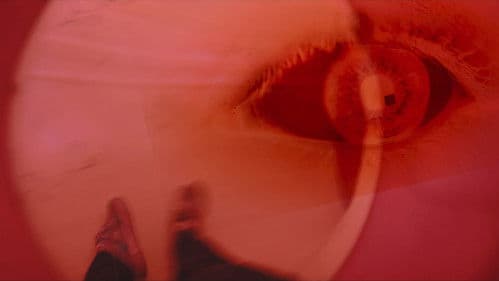 Escopaestesia Bild 2