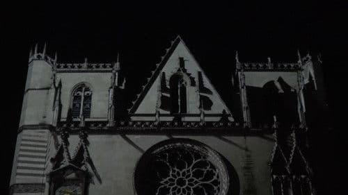 Fête des Lumières Bild 5