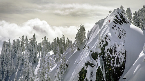 Drop Everything Bild 1