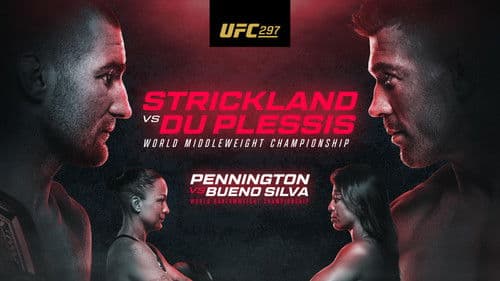 UFC 297: Strickland vs. du Plessis Bild 4