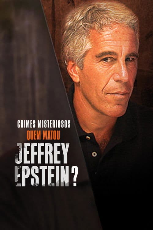 Der Fall Jeffrey Epstein