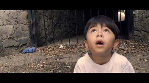 ¿Si Pudiera Interpellar Estrellas? Bild 1