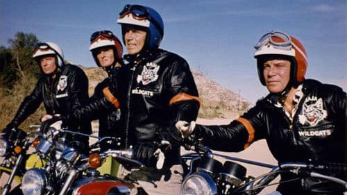 Pray for the Wildcats Bild 2