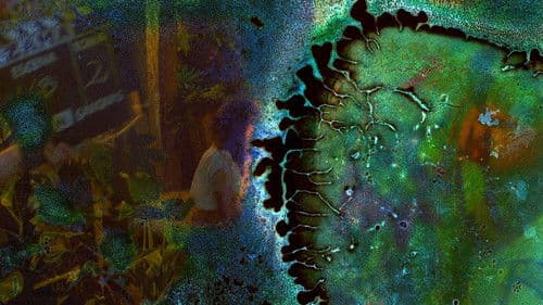 La película infinita Bild 2