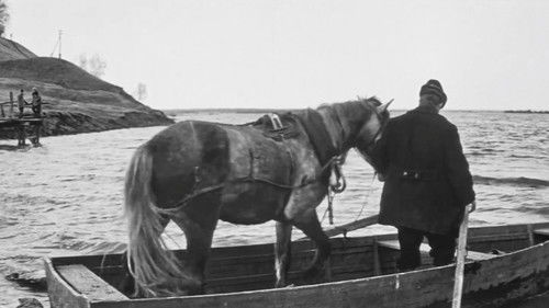 Только три ночи Bild 3