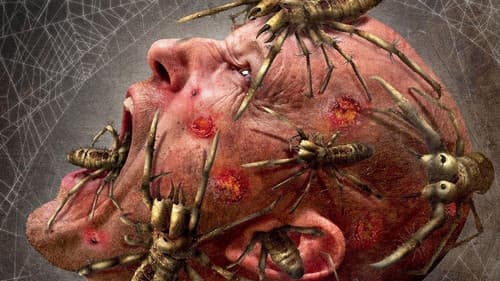 Camel Spiders - Angriff der Monsterspinnen Bild 6