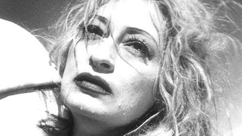 Abend der Gaukler Bild 4