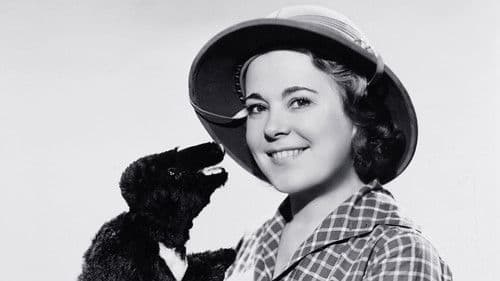 I Married Adventure Bild 1