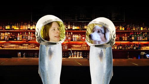 Danke tote Katze Bild 5