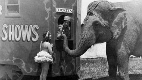 Rain or Shine Bild 2