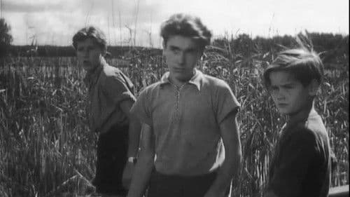 Rauch über der Insel - Eine Feriengeschichte Bild 2