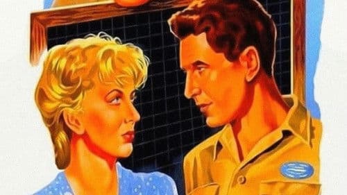 Un americano in vacanza Bild 1