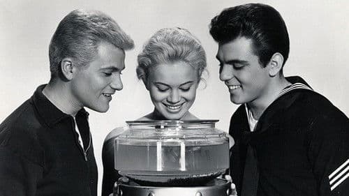 Love in a Goldfish Bowl Bild 1