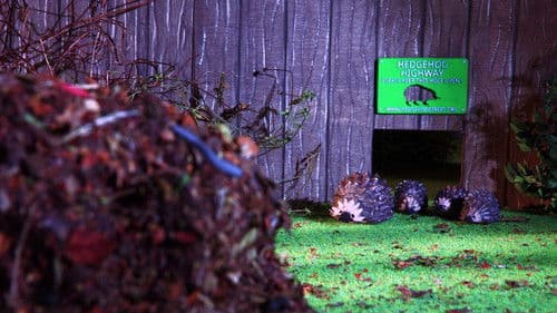 The Littlest Hoglet Bild 1