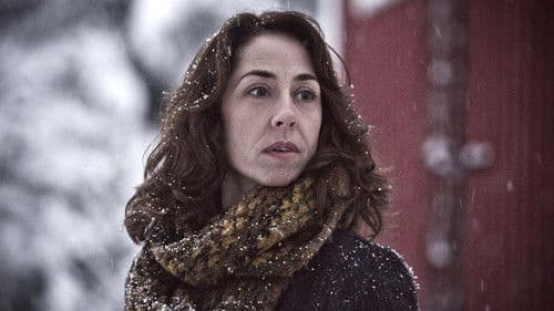 In der Stunde des Luchses Bild 4