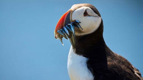 Die wilde Nordsee Bild 8