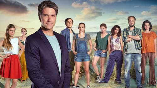 Zomer in Zeeland Bild 2