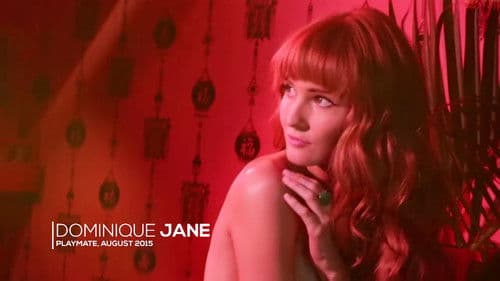 Bunny Gallery Bild 3