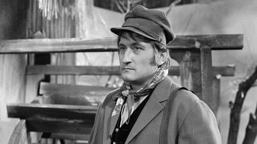 Nejsem chmýrko na bodláku Bild 1