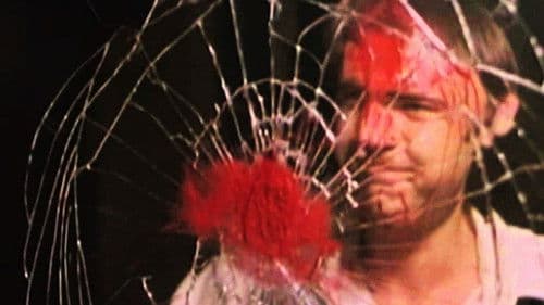 Дечко који обећава Bild 3