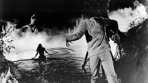 Die Hexenküche des Dr. Rambow Bild 4